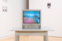 https://wh441182.ispot.cc/files/gimgs/th-1_DSC01275.jpg
